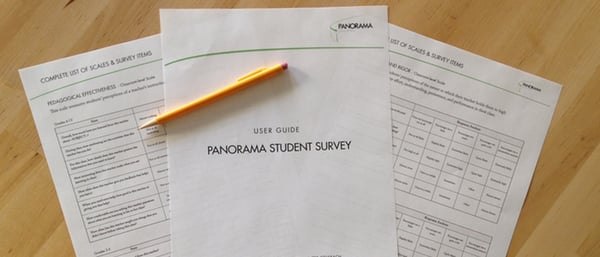 school climate survey