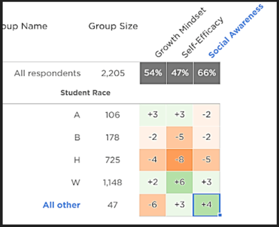 MSD student SEL responses by race