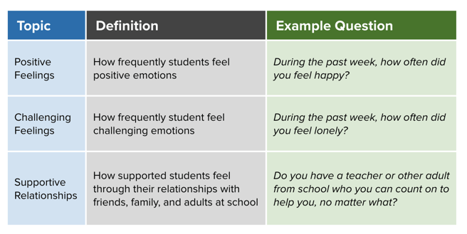 Panorama Well-Being Survey scales