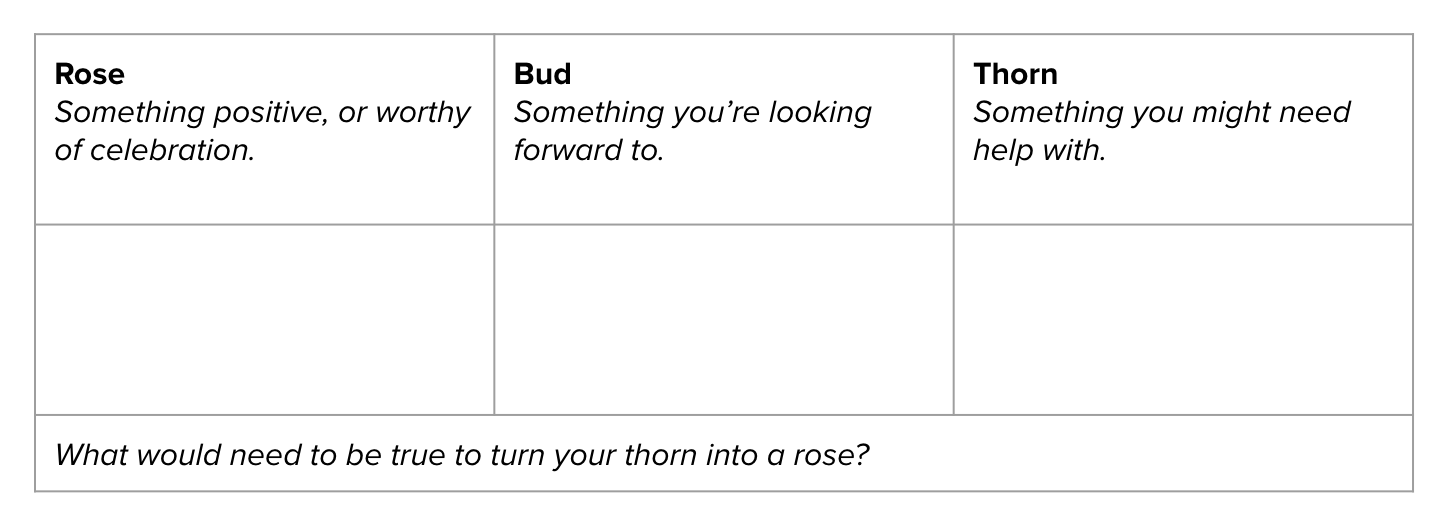 Rose Bud Thorn