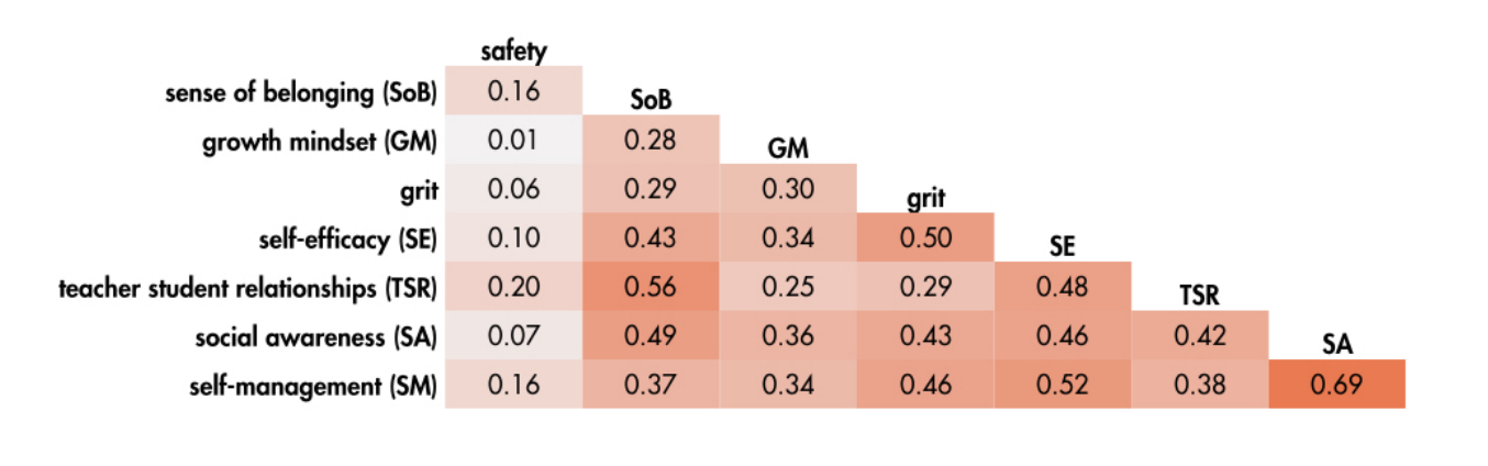 Correlations of SEL Measures