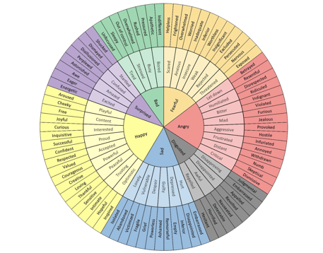 The Feelings Wheel