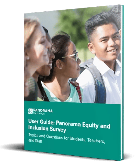 User Guide: Panorama Equity and Inclusion Survey