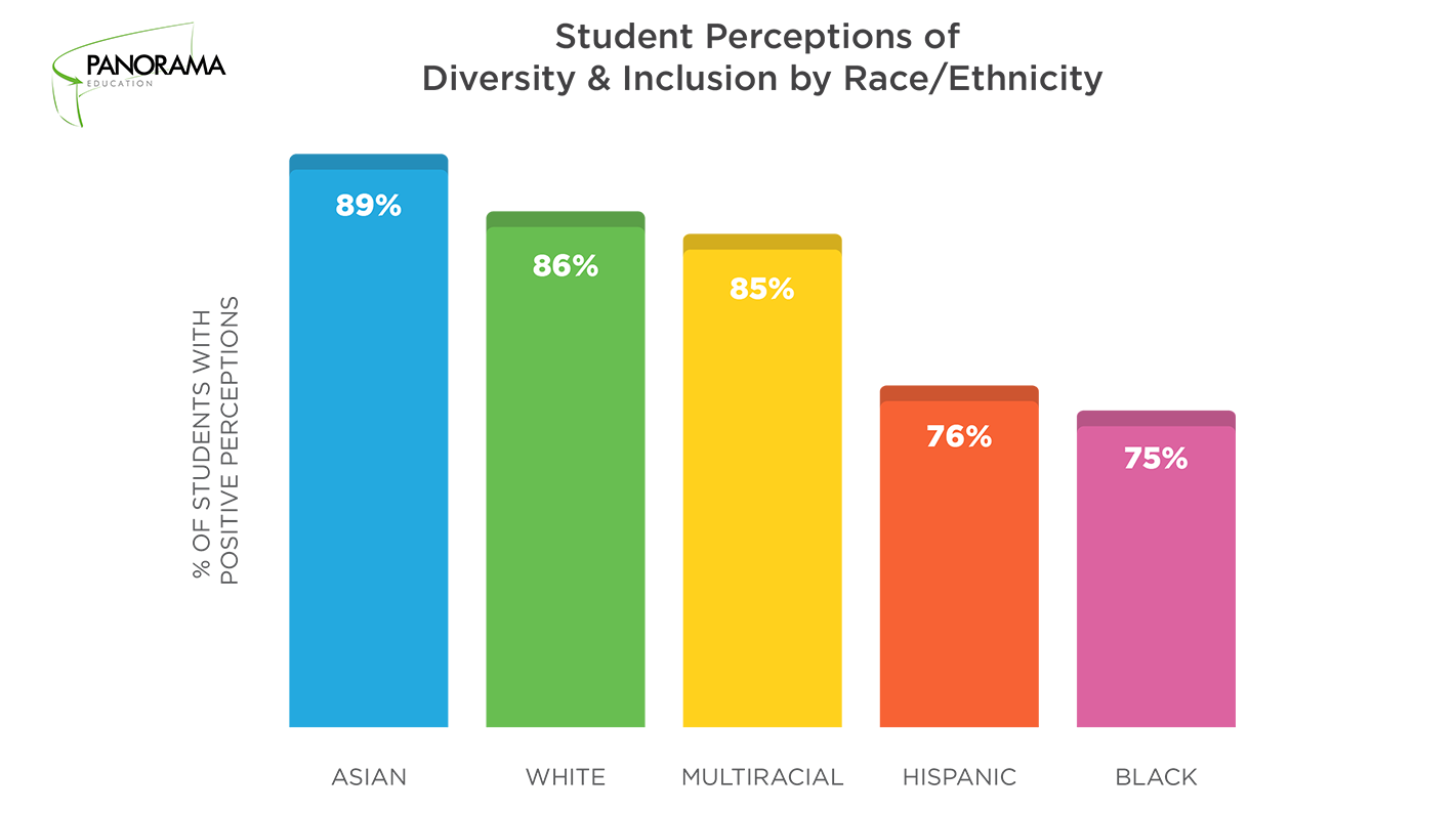 Student Perceptions Diversity and Inclusion by Race/Ethnicity