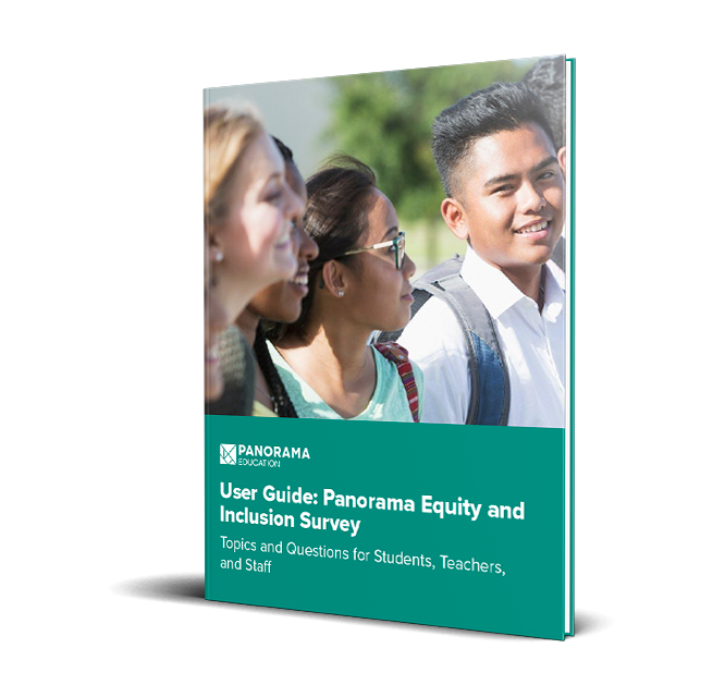 Panorama Equity and Inclusion Survey