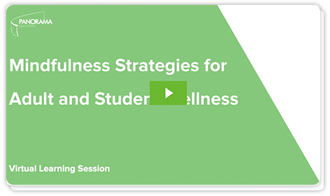 Mindfulness Strategies