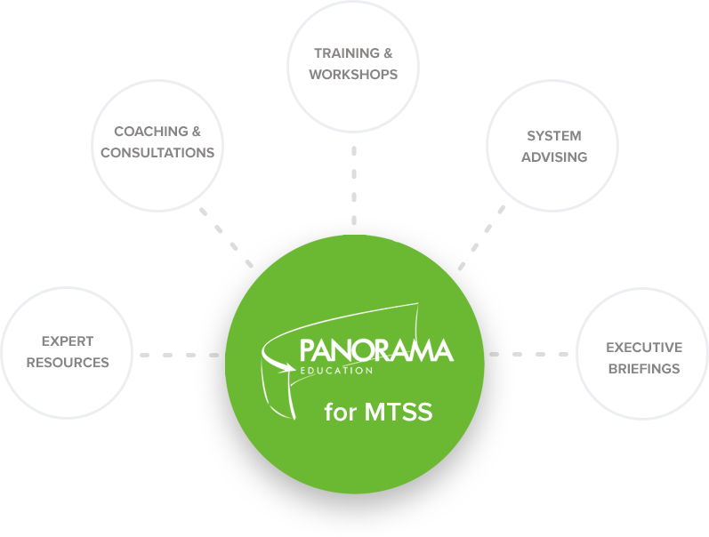 mtss-professional-services