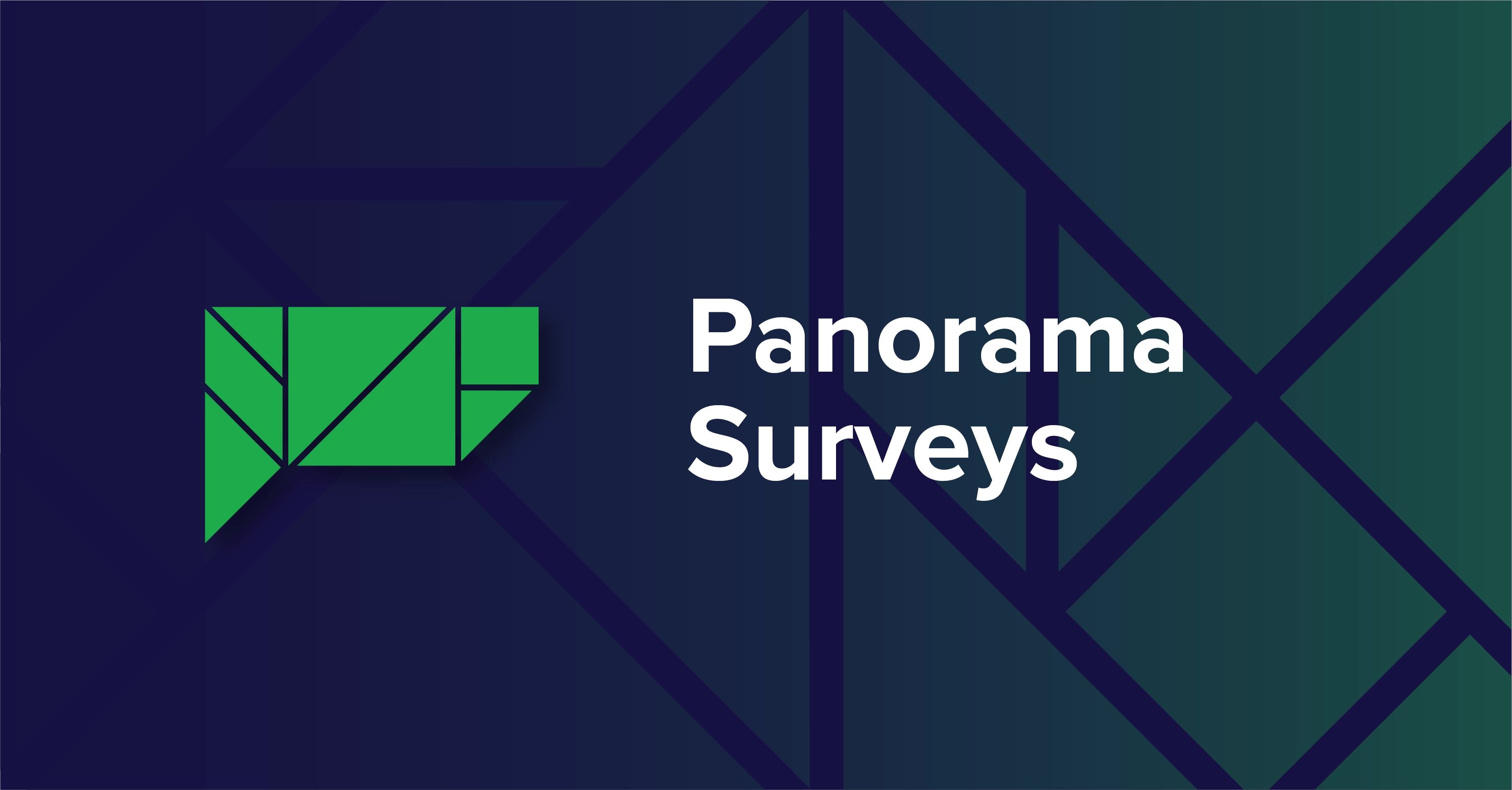 Panorama Surveys | Panorama Education