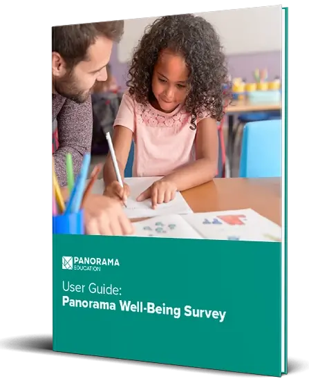 panorama_well_being_survey-1