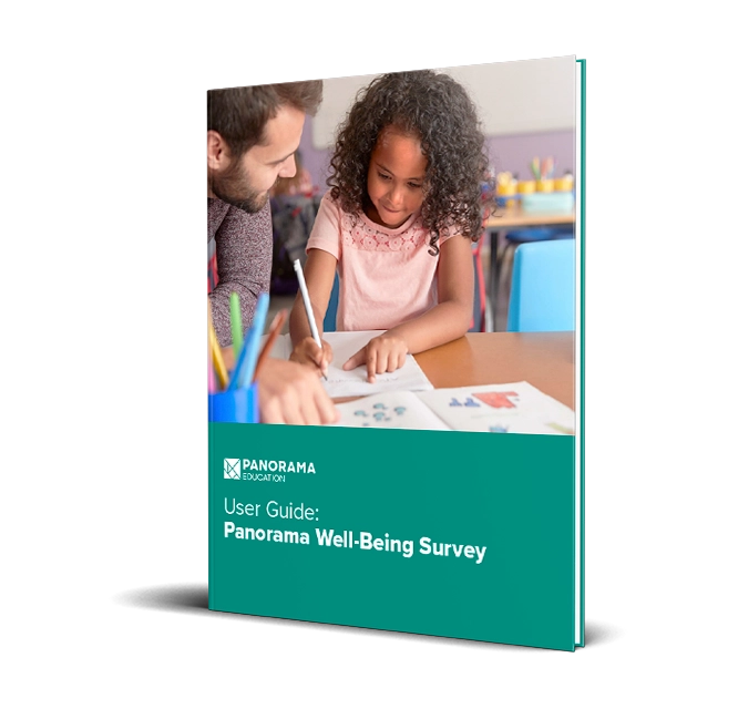panorama_well_being_survey