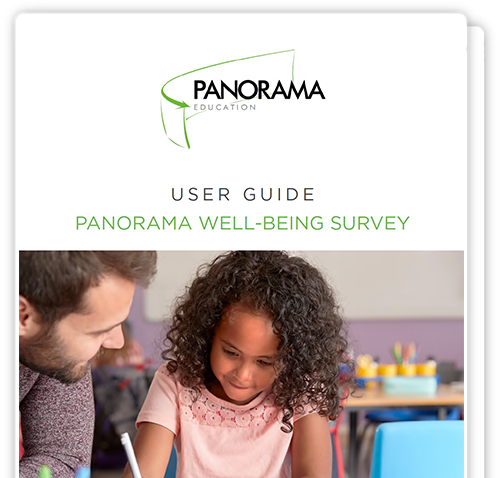 Panorama Well-Being Survey